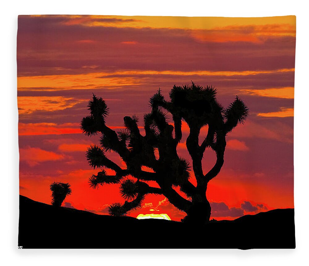 Arid Climate Fleece Blanket featuring the photograph Joshua Tree at Sunset #1 by Jeff Goulden