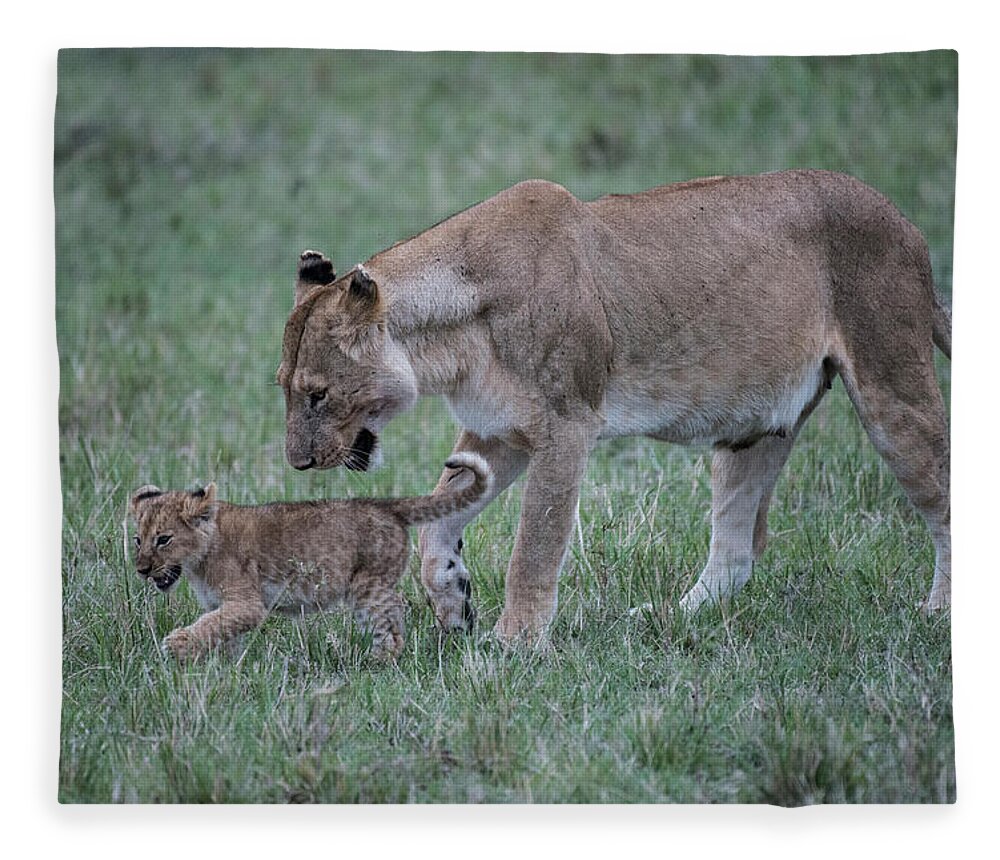 Africa Fleece Blanket featuring the photograph Lioness and cub #1 by Steve Somerville