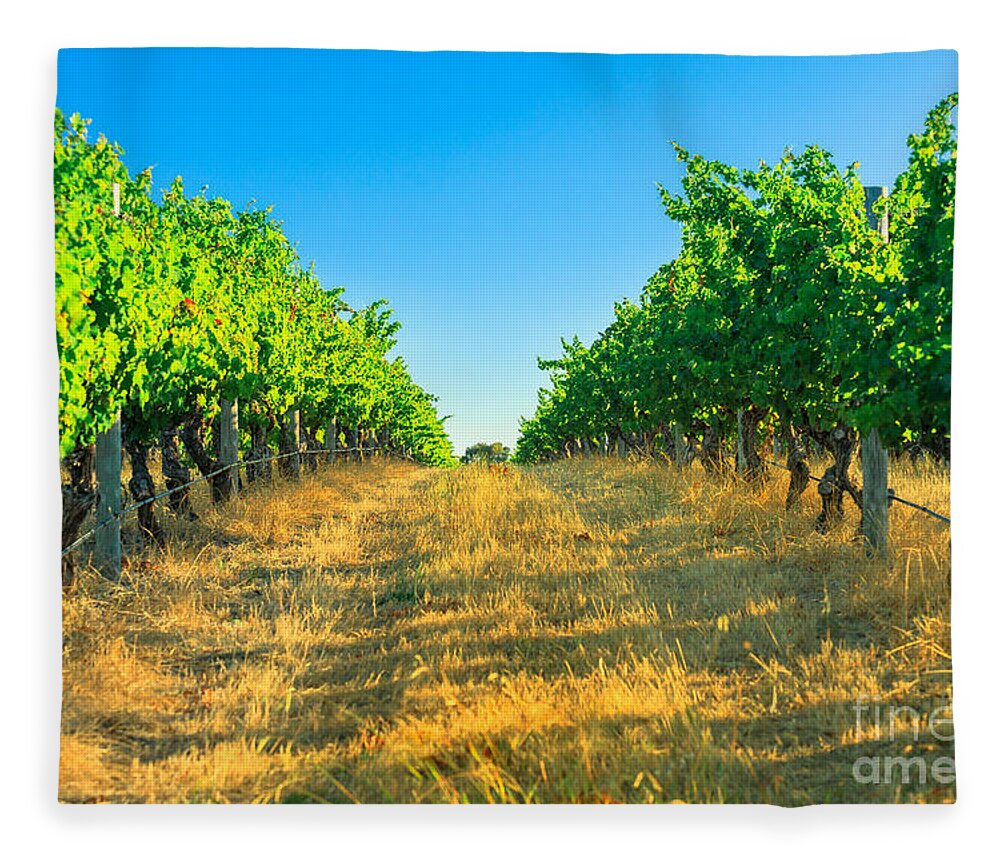 Vineyard Fleece Blanket featuring the photograph Margaret River Vineyard #1 by Benny Marty
