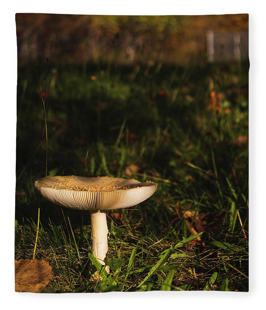 Mushroom Fleece Blanket featuring the photograph Mushroom #1 by Cindi Ressler