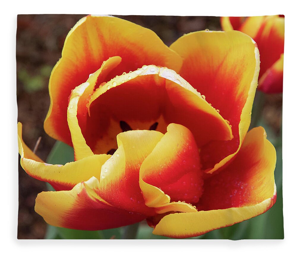 Flower Fleece Blanket featuring the photograph Red and Yellow #1 by Masami IIDA