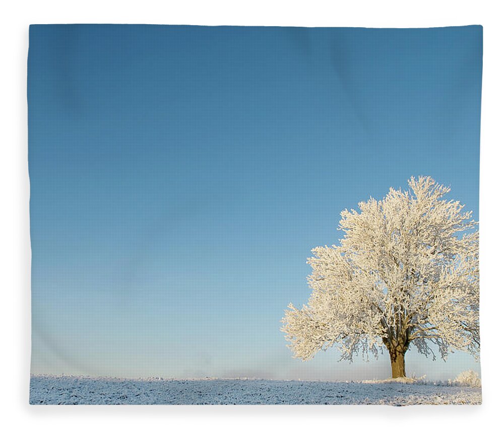 Snow Fleece Blanket featuring the photograph Single Elm Tree Covered In Snow In Open #1 by Erik Buraas