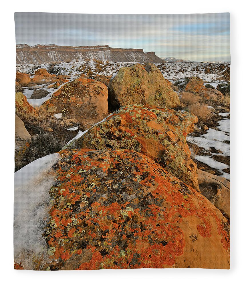 Book Cliffs Fleece Blanket featuring the photograph The Colors of the Book Cliffs #1 by Ray Mathis