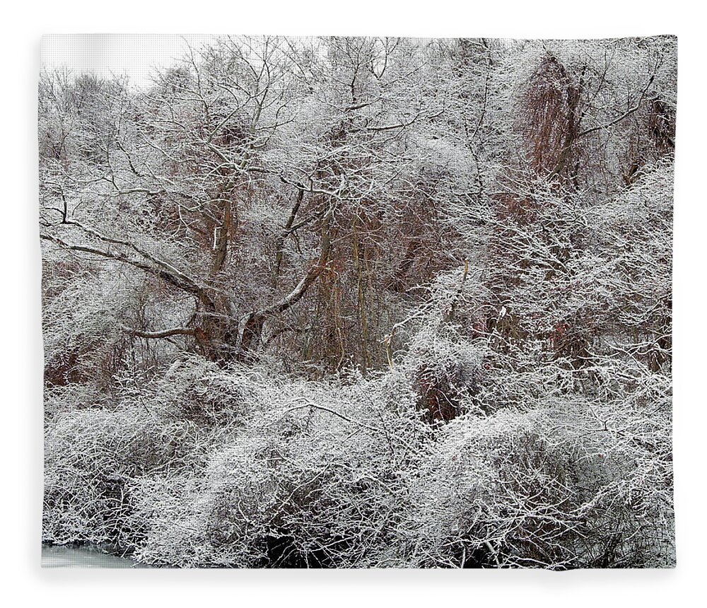 Snow Fleece Blanket featuring the photograph The Forest Hush #1 by Lynda Lehmann