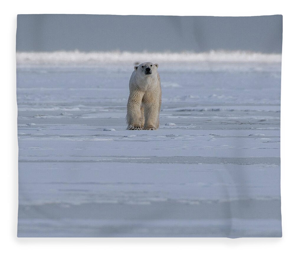 Bear Fleece Blanket featuring the photograph The Stare #1 by Mark Hunter