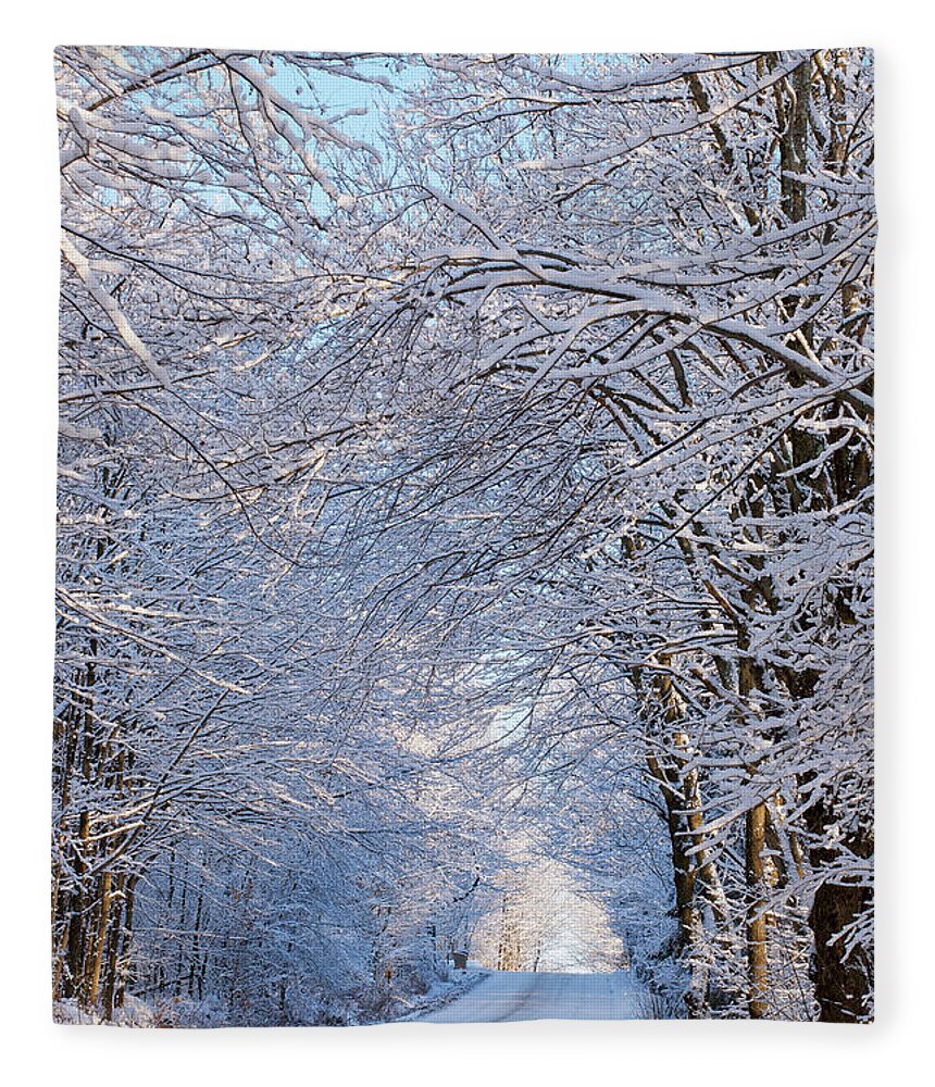 Scenics Fleece Blanket featuring the photograph Tree Lined Road In Winter #1 by David Chapman / Design Pics