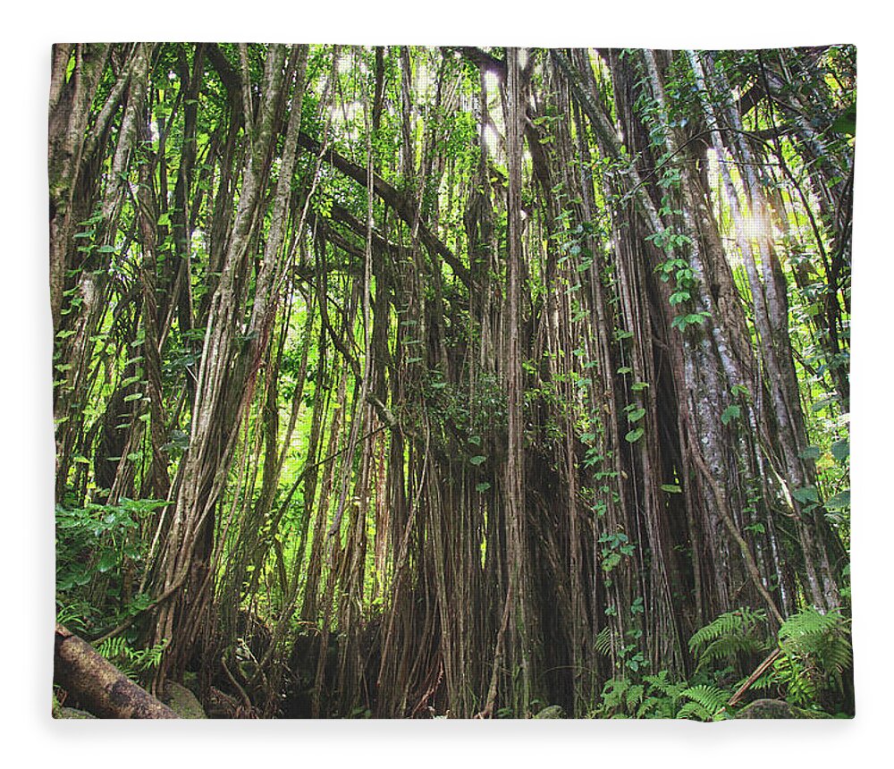 Oahu Fleece Blanket featuring the photograph Where Life Takes Us #1 by Laurie Search