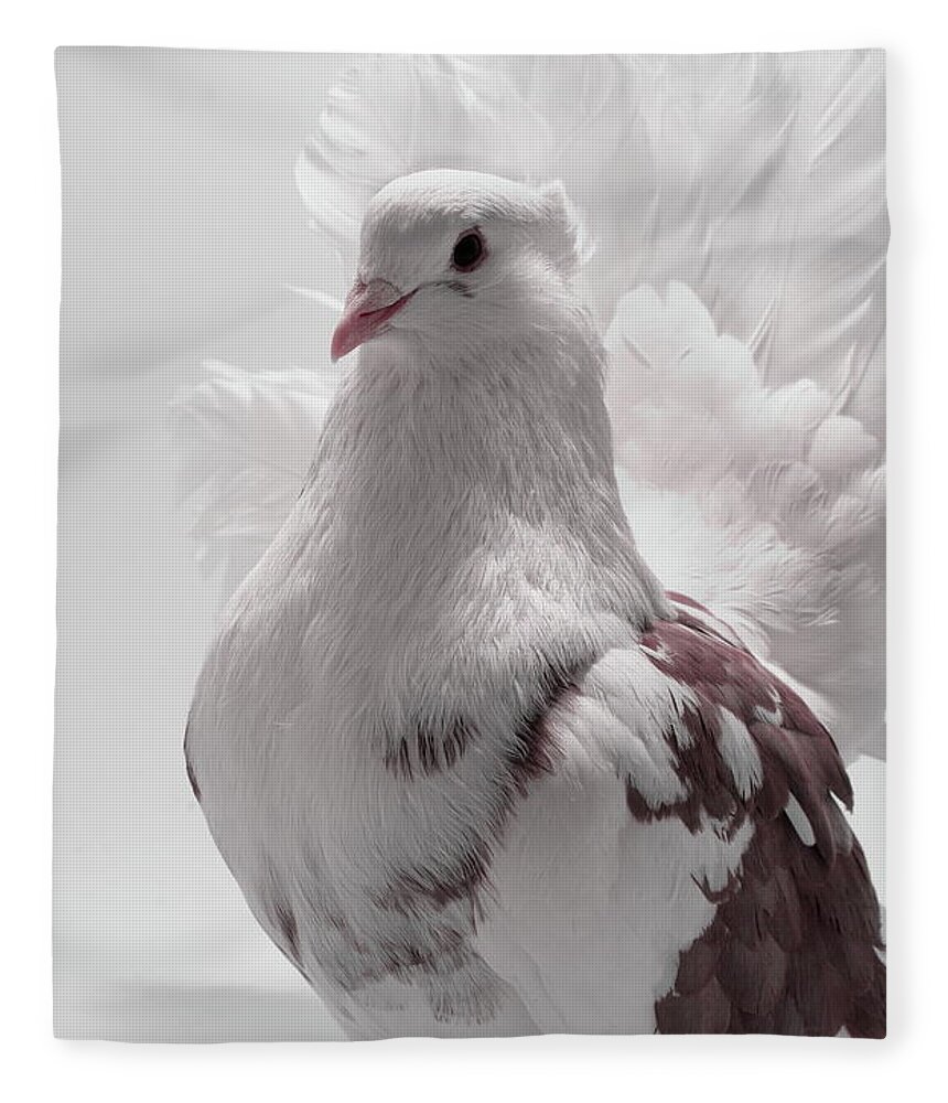 Pigeon Fleece Blanket featuring the photograph White and Brown Indian Fantail Pigeon #1 by Nathan Abbott
