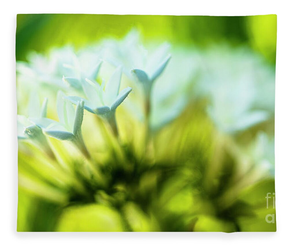 Background Fleece Blanket featuring the photograph White Pentas Flowers by Raul Rodriguez