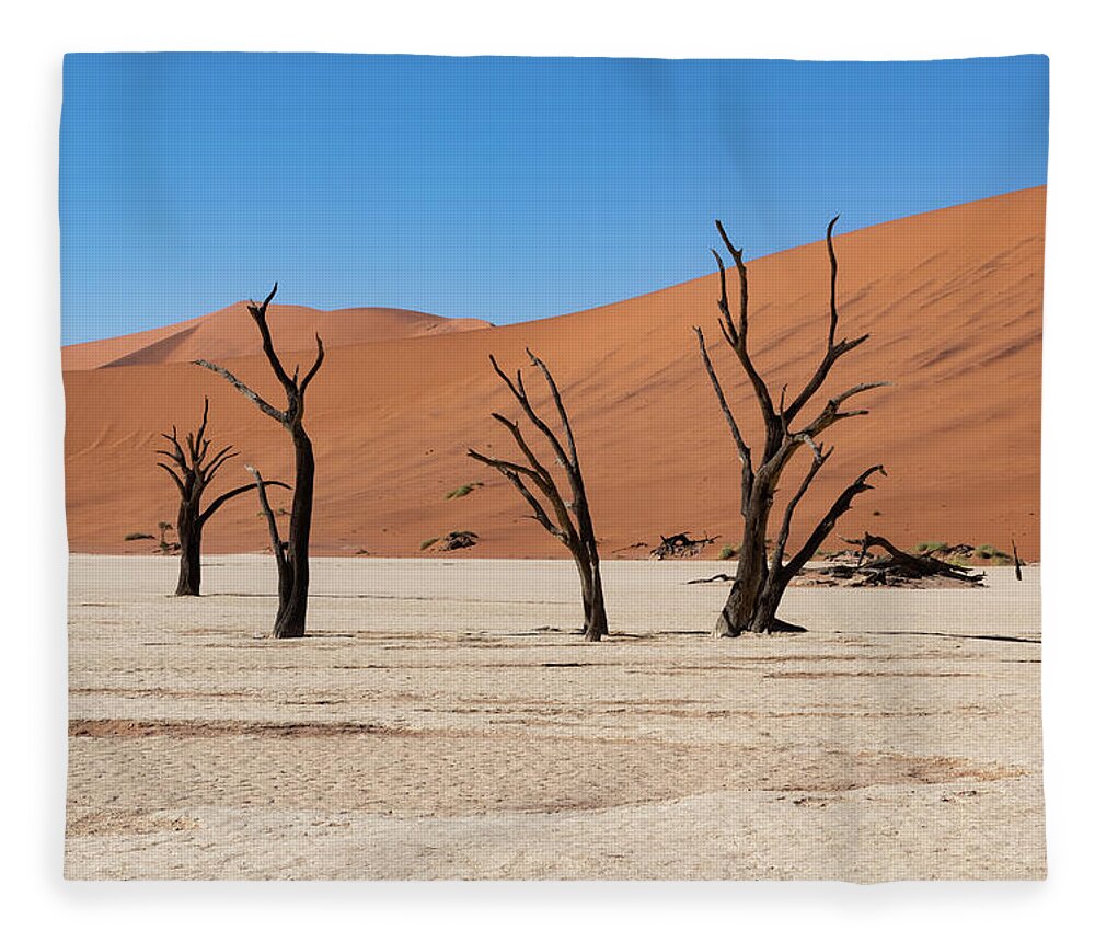 Landscape Fleece Blanket featuring the photograph Deadvlei #10 by Mache Del Campo