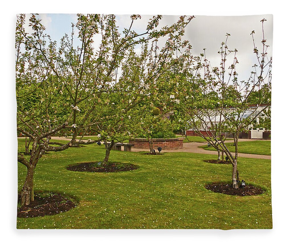 Chorley Fleece Blanket featuring the photograph 11/05/19 CHORLEY. Astley Hall. Walled Garden. The Orchard. by Lachlan Main