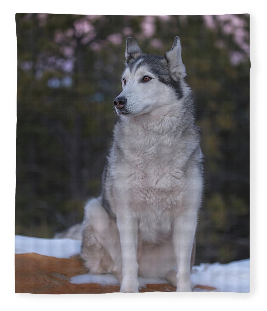 Aurora Fleece Blanket featuring the photograph Aurora #18 by Brian Cross