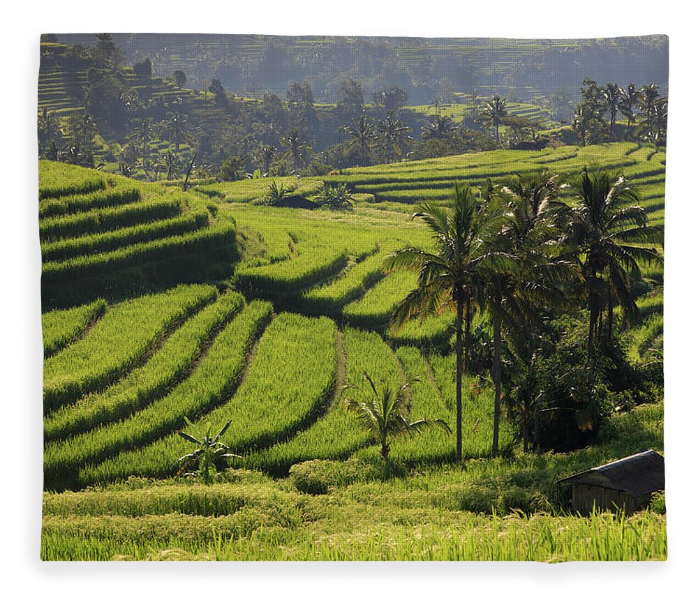 Scenics Fleece Blanket featuring the photograph Indonesia, Bali, Rice Fields And #18 by Michele Falzone