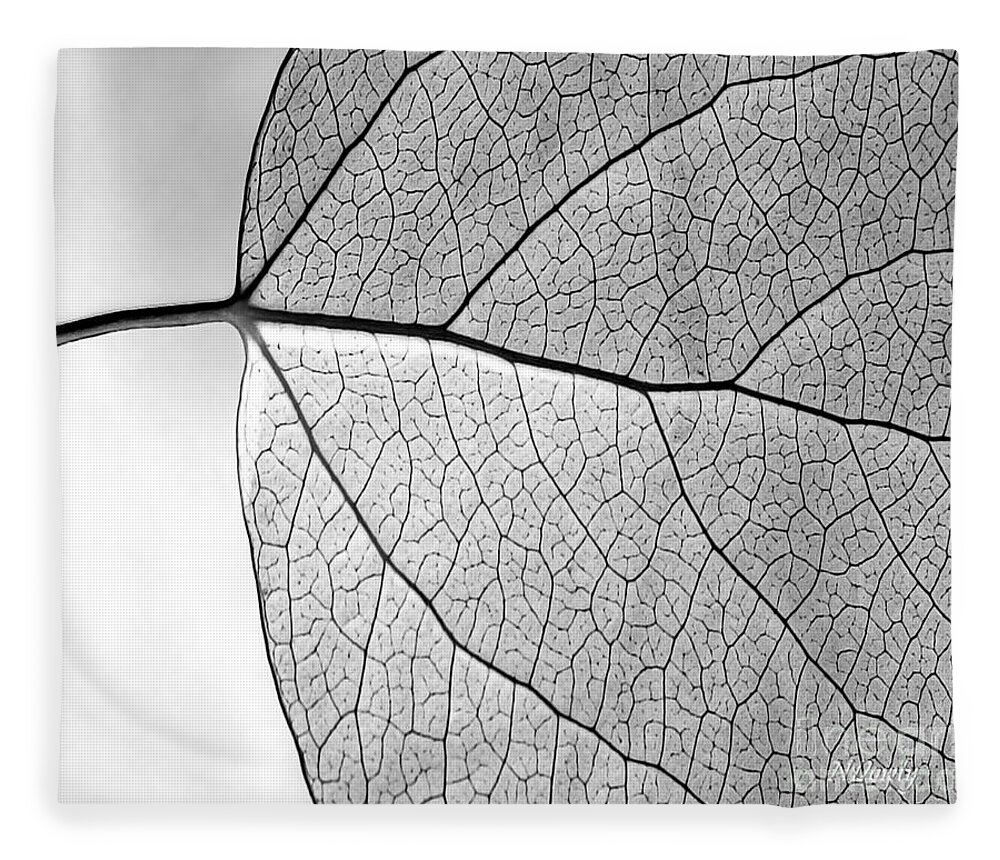 Aspen Leaf Veins Fleece Blanket featuring the photograph Aspen Leaf Veins #2 by Natalie Dowty