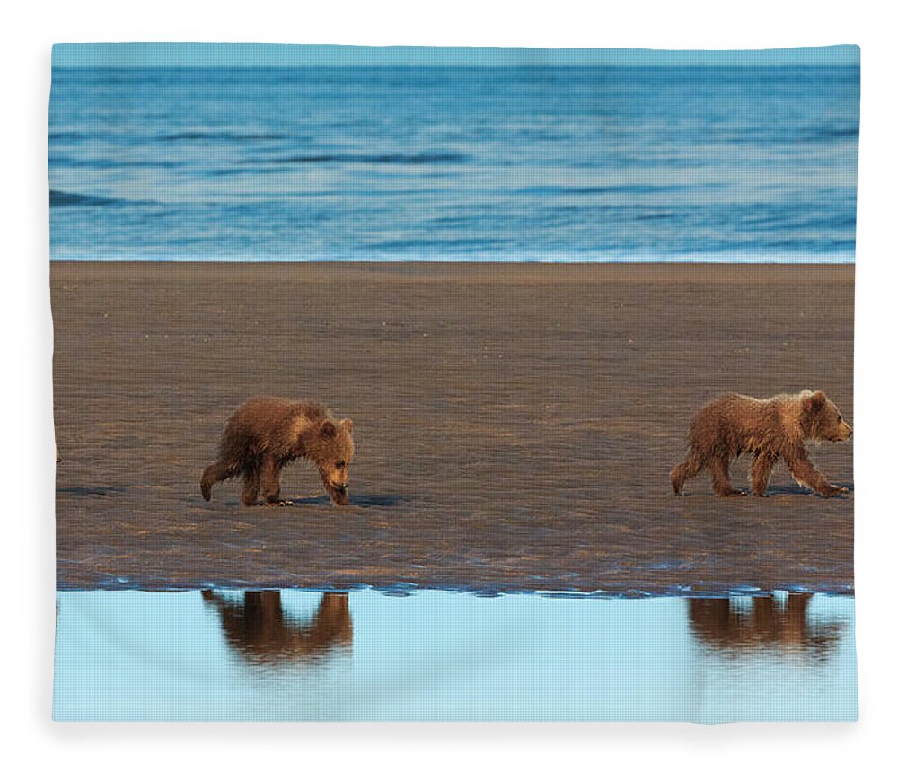 Brown Bear Fleece Blanket featuring the photograph Brown Bear Cubs, Lake Clark National #2 by Mint Images/ Art Wolfe