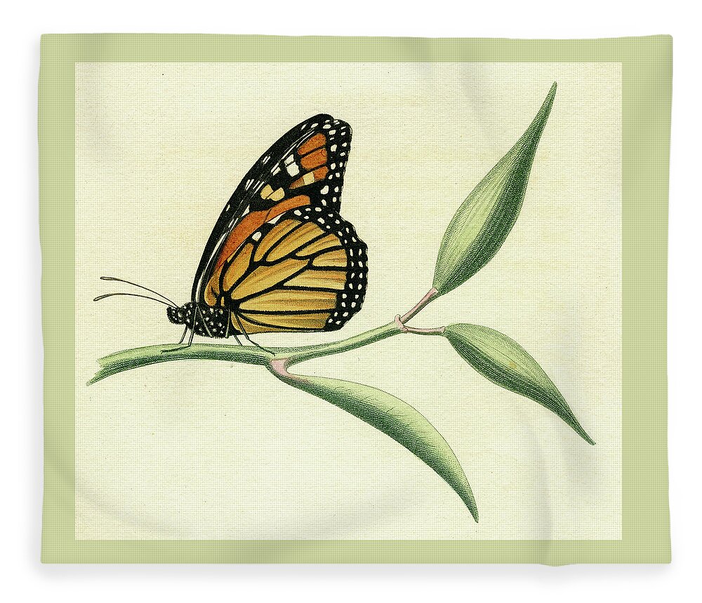Entomology Fleece Blanket featuring the mixed media Butterfly #5 by Unknown