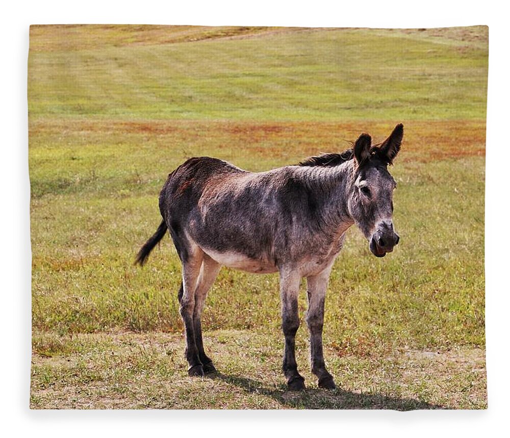 Donkey At Custer Fleece Blanket featuring the photograph Donkey at Custer State Park #2 by Susan Jensen