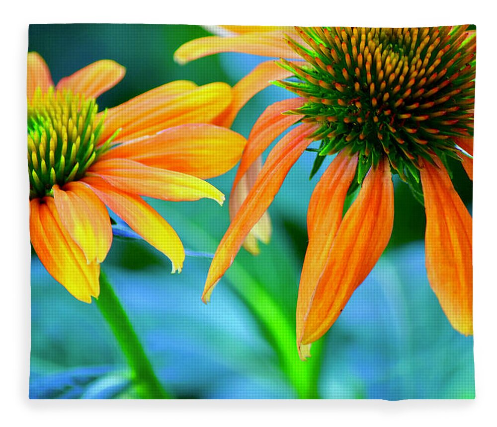 Flowers Fleece Blanket featuring the photograph Echinacea #3 by Bonnie Bruno