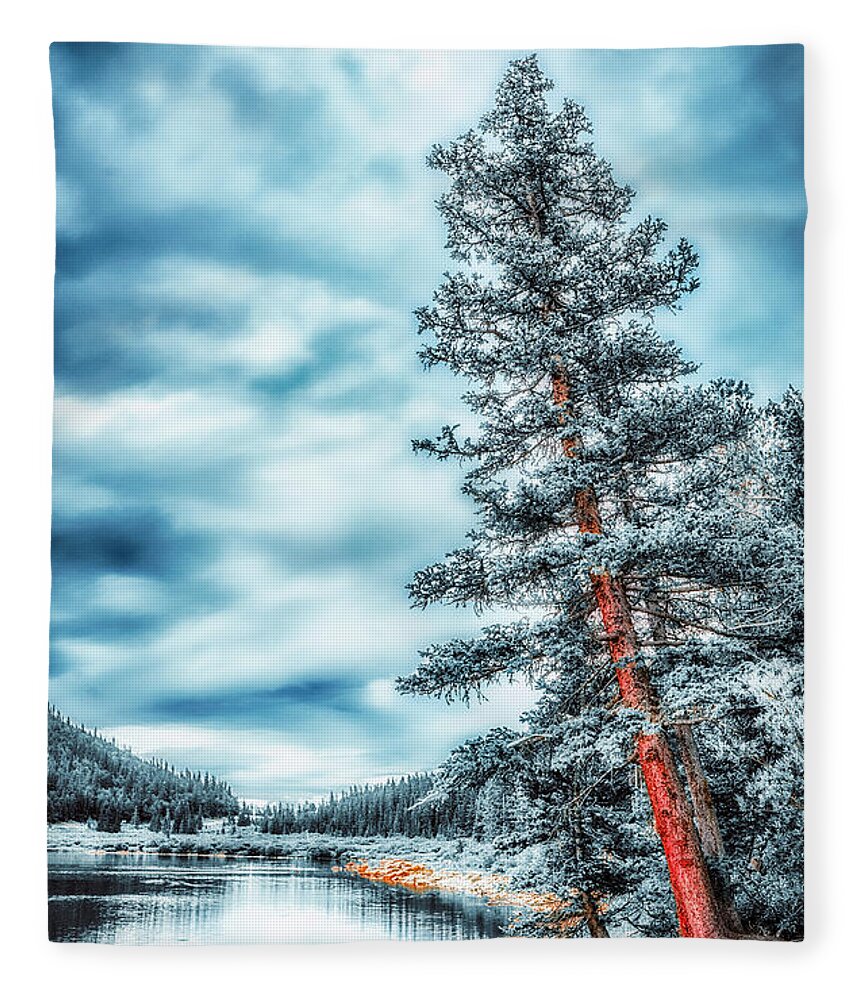 Tree Fleece Blanket featuring the photograph Echo Lake #2 by Bill Frische
