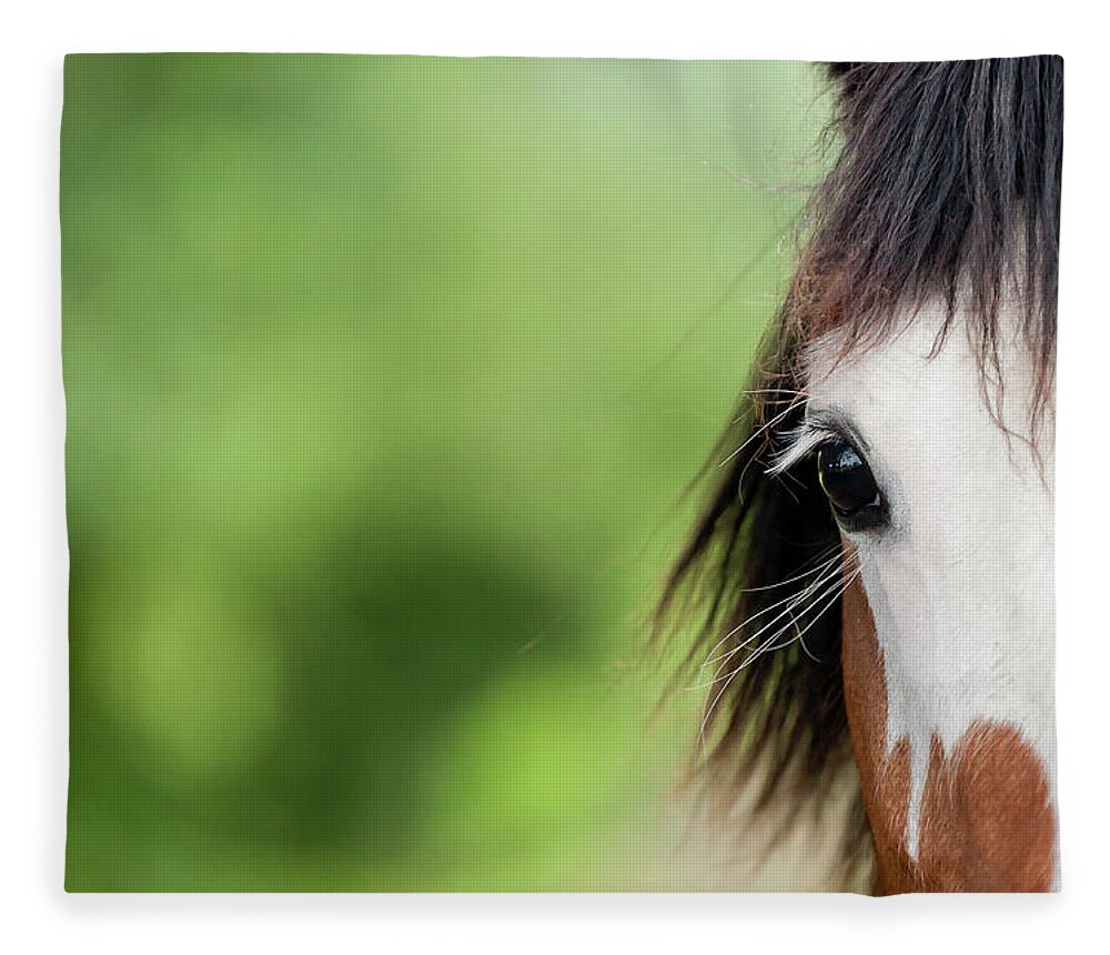 Horse Fleece Blanket featuring the photograph Equine Beauty #2 by Dageldog