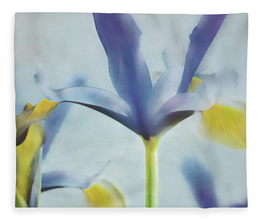 Connie Handscomb Fleece Blanket featuring the photograph Flow #1 by Connie Handscomb