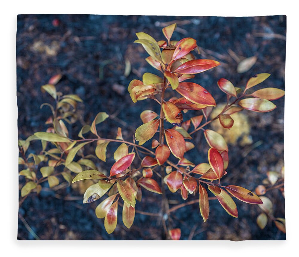 Barrens Fleece Blanket featuring the photograph Pine Barrens Burn #2 by Louis Dallara