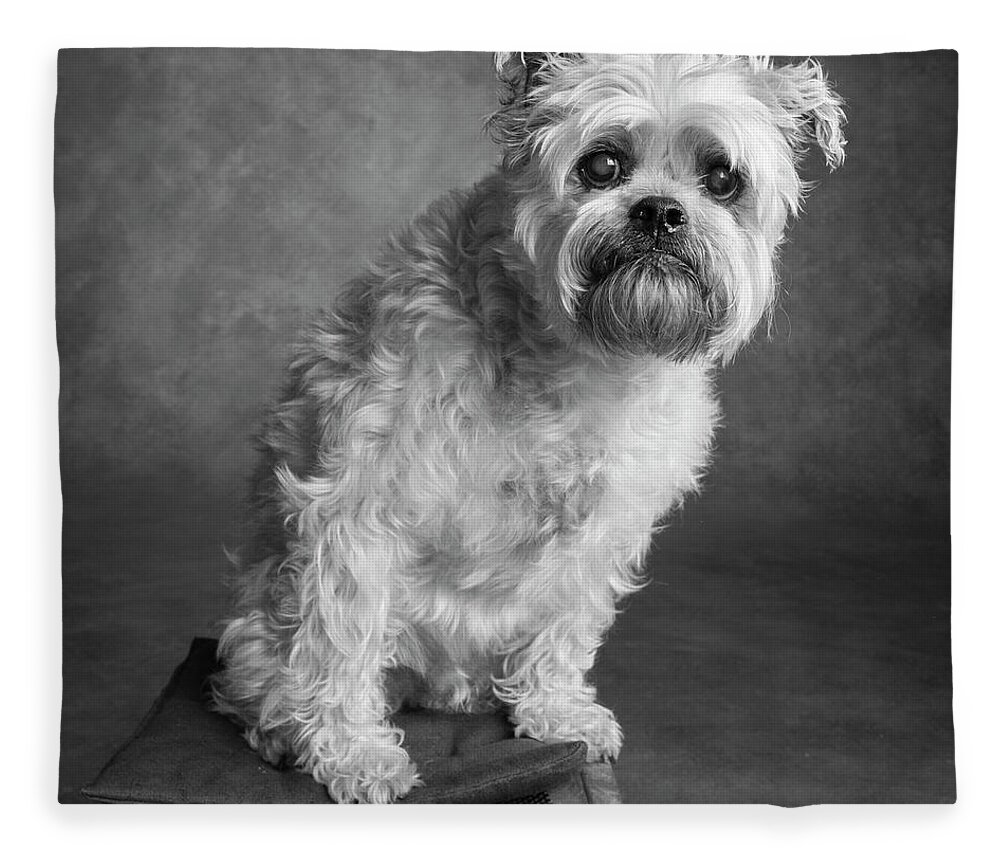 Photography Fleece Blanket featuring the photograph Portrait Of A Brussels Griffon Dog #2 by Panoramic Images