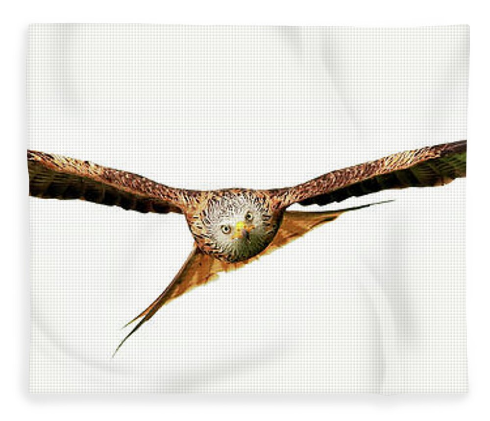 Red Kite Fleece Blanket featuring the photograph Red Kite - Bird of Prey in flight #1 by Grant Glendinning