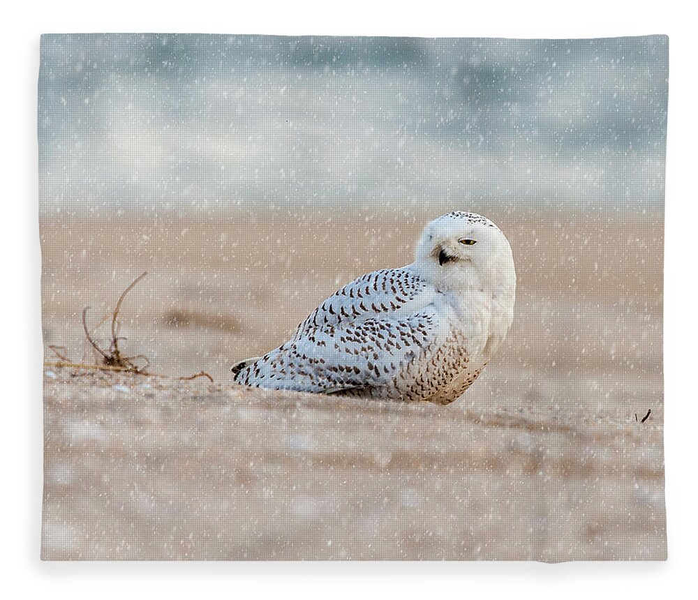 Owl Fleece Blanket featuring the photograph Snowy Owl by Cathy Kovarik