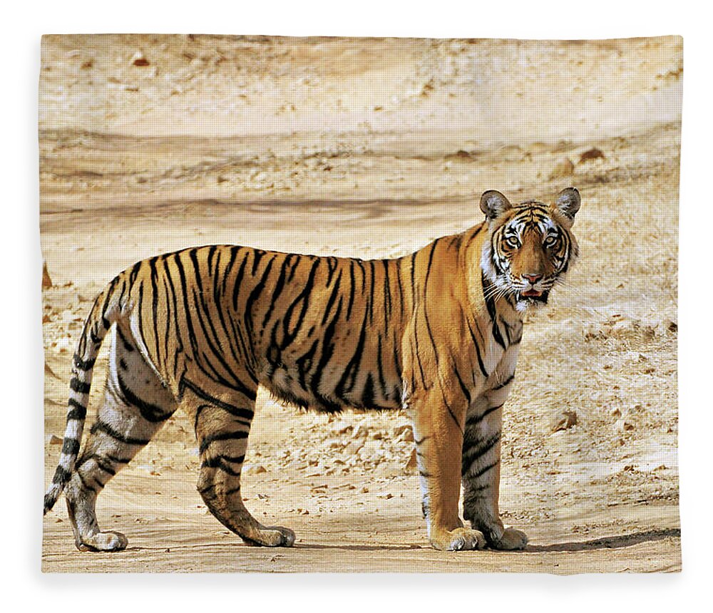 Ranthambore National Park Fleece Blanket featuring the photograph Tigress #2 by Copyright@jgovindaraj