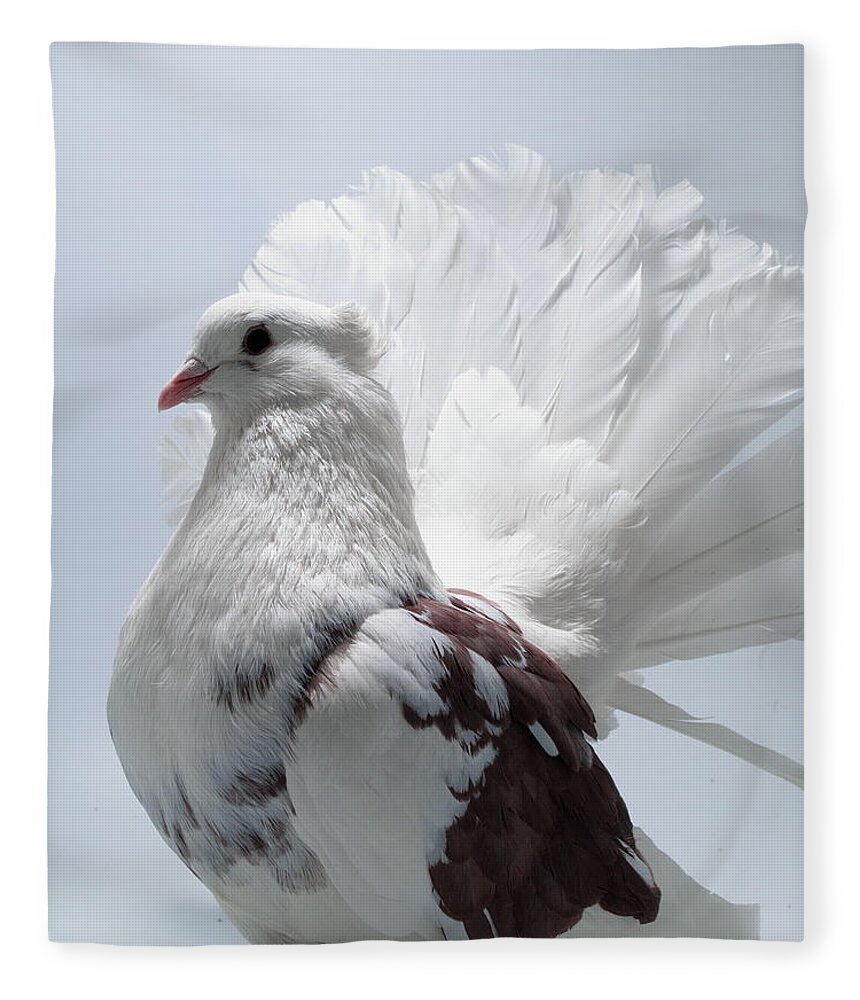 Pigeon Fleece Blanket featuring the photograph White and Brown Indian Fantail Pigeon #2 by Nathan Abbott