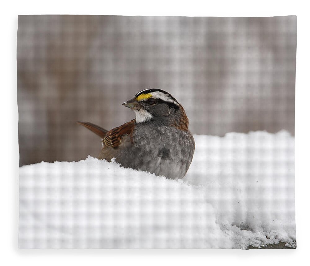 Sparrow Fleece Blanket featuring the photograph White- Throated Sparrow by Ann Bridges