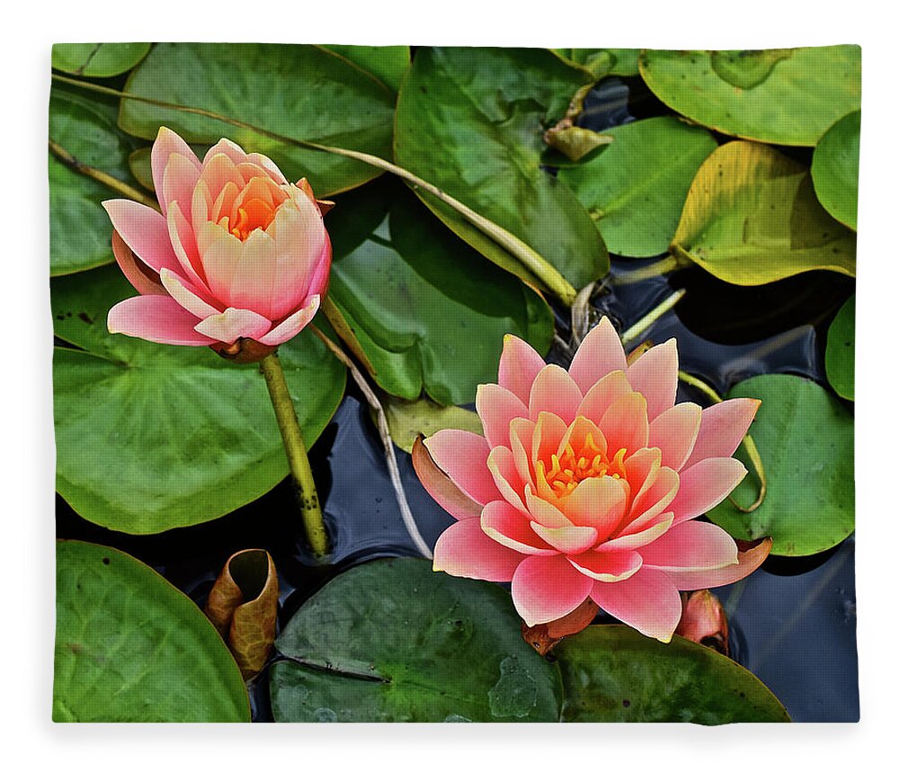 Waterlily Fleece Blanket featuring the photograph 2019 August at the Gardens Waterlily 2 by Janis Senungetuk