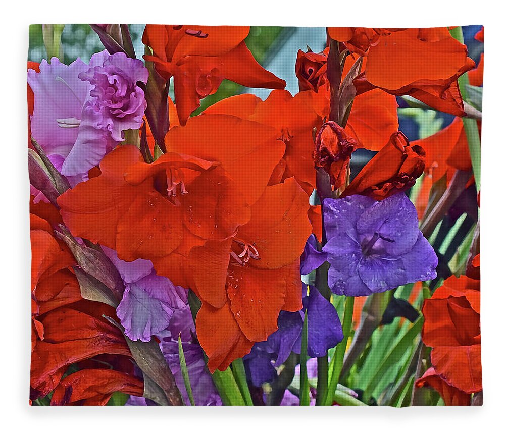 Gladiolus Fleece Blanket featuring the photograph 2019 Monona Farmers' Market September Gladiolus 2 by Janis Senungetuk