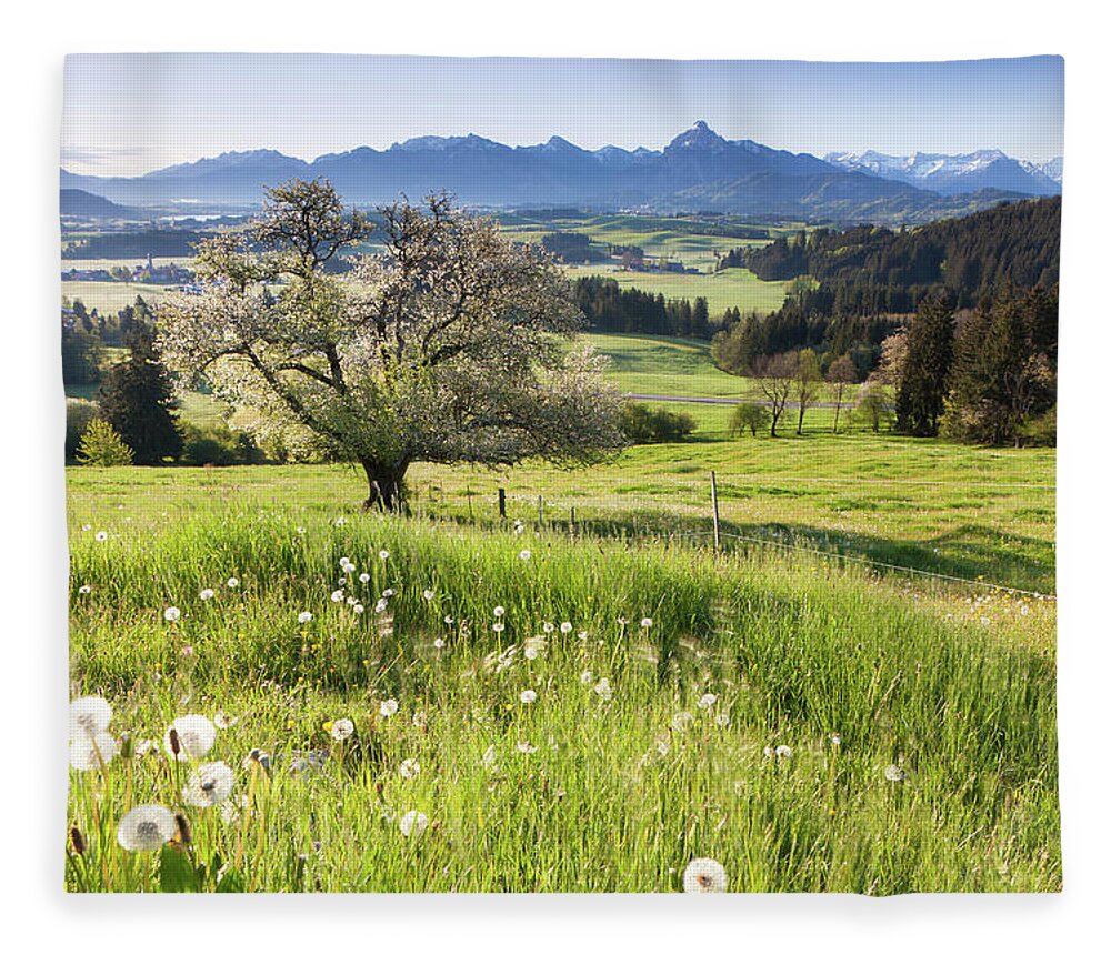 Scenics Fleece Blanket featuring the photograph Blooming Apple Tree In A Meadow #3 by Ingmar Wesemann