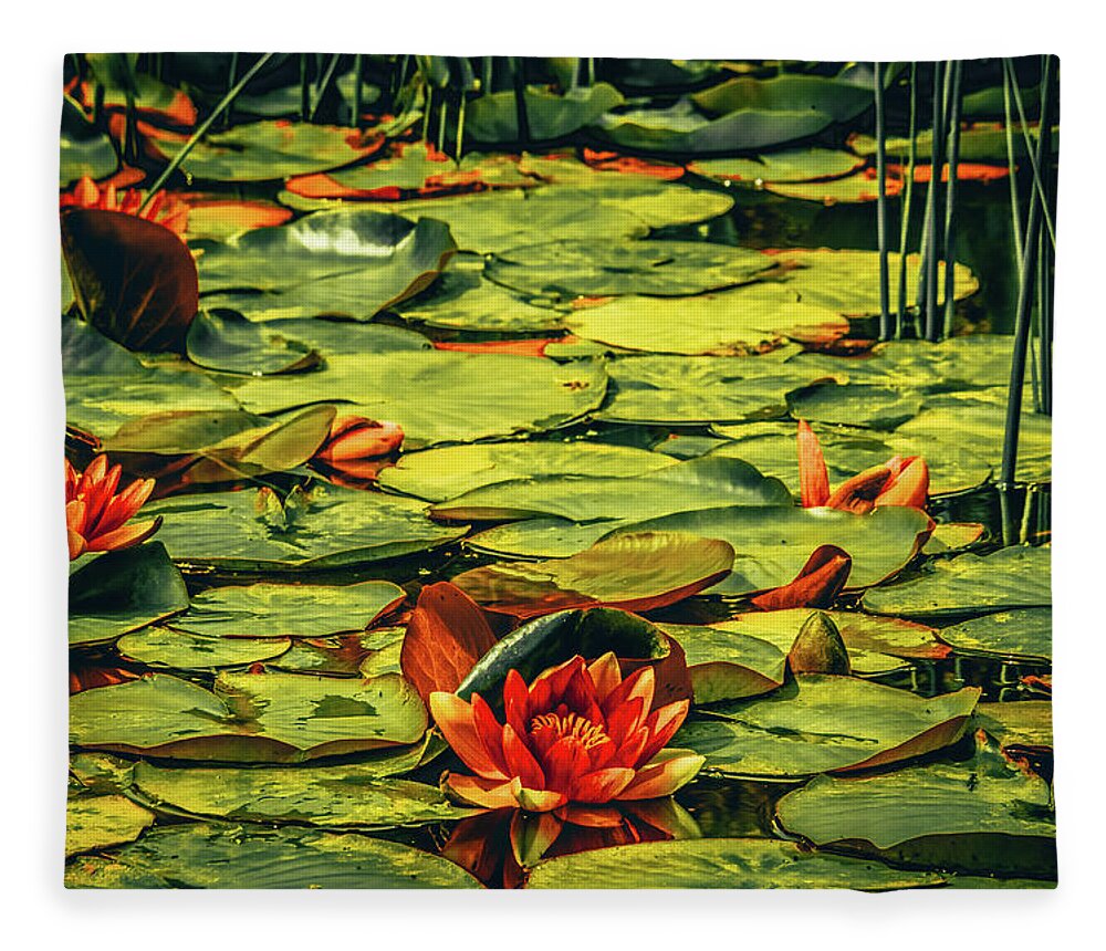 Waterlilies Fleece Blanket featuring the photograph Water Lilies #3 by Bonnie Bruno