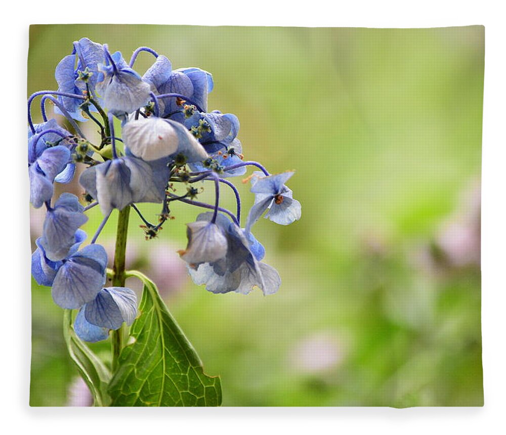 Flower Fleece Blanket featuring the photograph Sweet Memories #4 by Bonnie Bruno