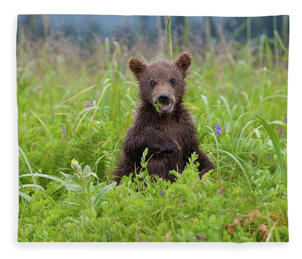 Brown Bear Fleece Blanket featuring the photograph Brown Bear Cub, Lake Clark National #5 by Mint Images/ Art Wolfe