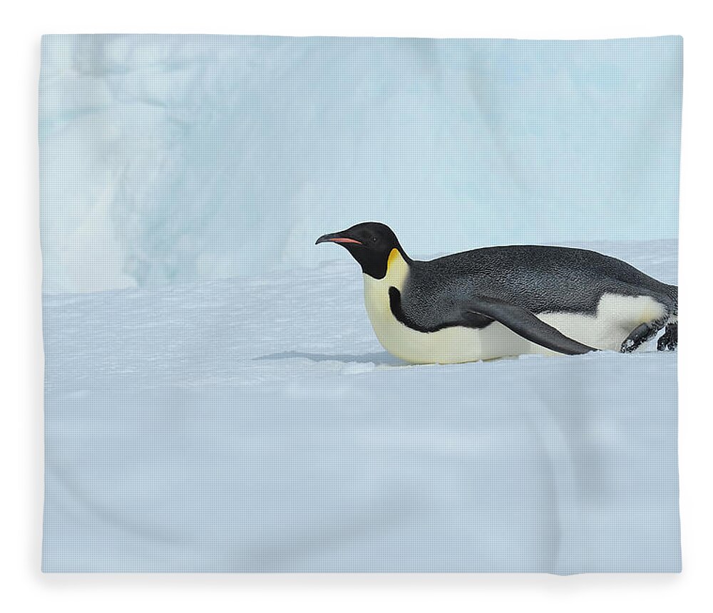 Emperor Penguin Fleece Blanket featuring the photograph Emperor Penguin #6 by Raimund Linke