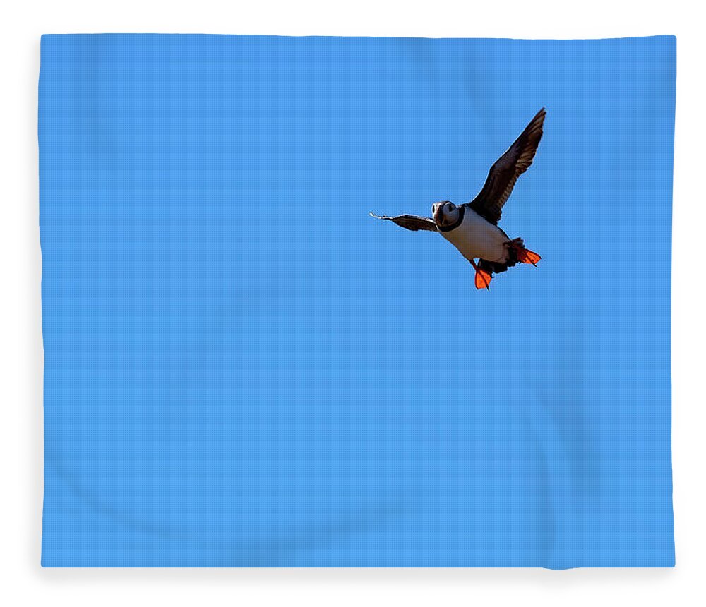 Puffin Fleece Blanket featuring the photograph Atlantic Puffin #7 by Kuni Photography