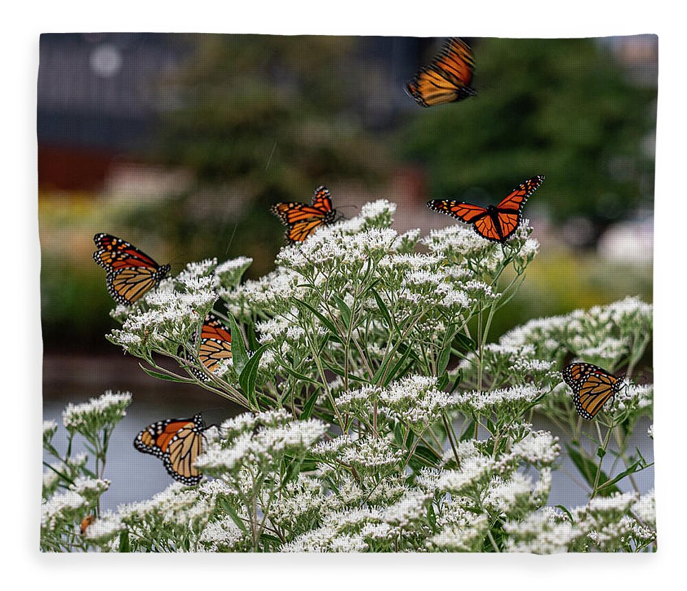 Butterfly Fleece Blanket featuring the photograph Just Amazing by Kristine Hinrichs