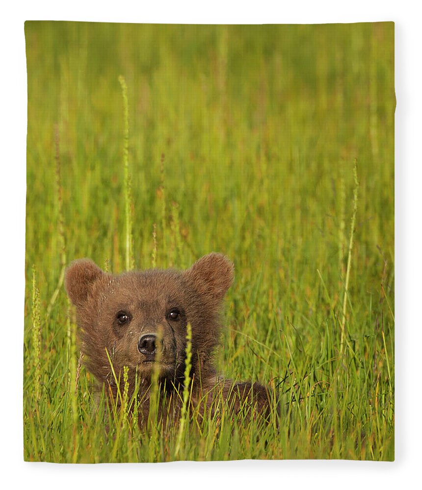 Brown Bear Fleece Blanket featuring the photograph A Brown Bear Cub In The Long Grass In by Mint Images - Art Wolfe