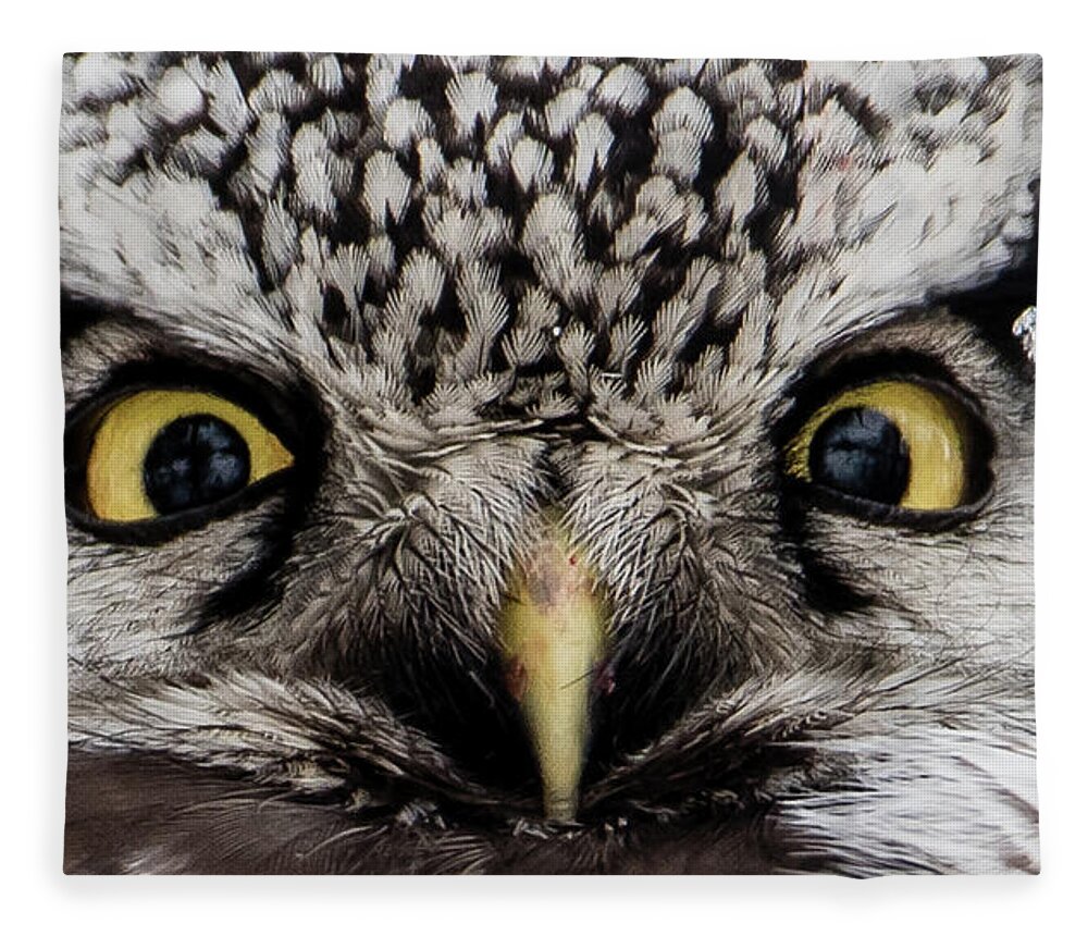 Northern Hawk Owl Fleece Blanket featuring the photograph A closeup of The Northern Hawk Owl by Torbjorn Swenelius
