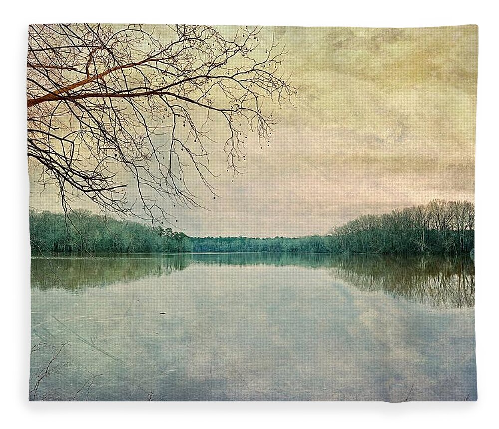 Mooresville Fleece Blanket featuring the digital art A December Wheeler Lake by Steven Gordon
