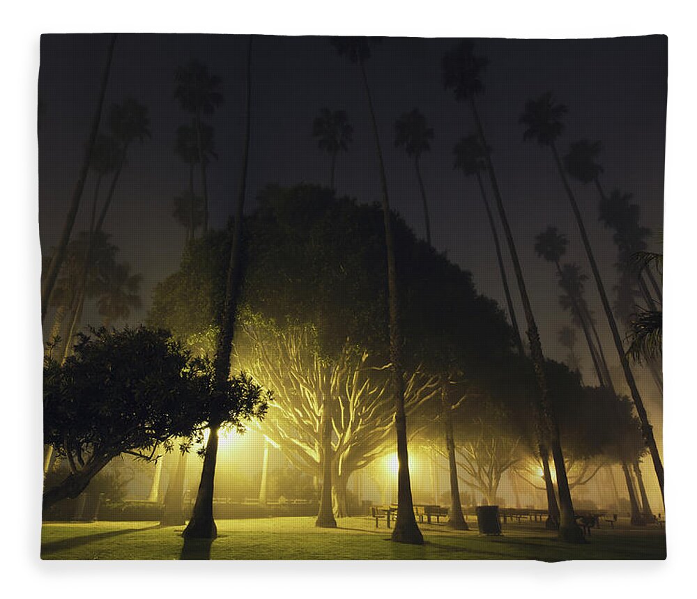 Spooky Fleece Blanket featuring the photograph A Foggy Night In Palisades Park by Jack Goldfarb / Design Pics