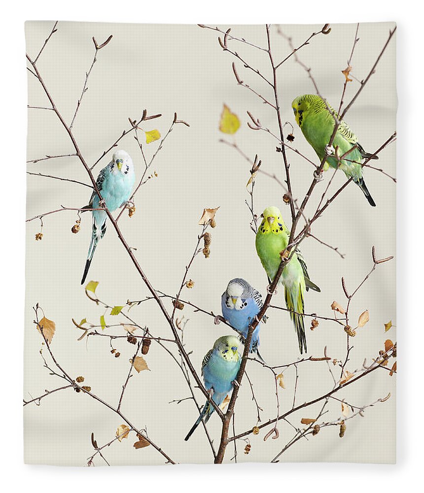 Connection Fleece Blanket featuring the photograph A Group Of Budgies In A Tree by Walker And Walker