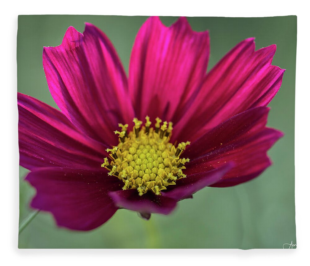Flower Fleece Blanket featuring the photograph A Look Inside by Aaron Burrows