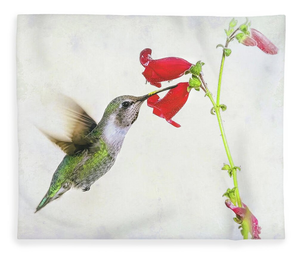 Hummingbirds Fleece Blanket featuring the photograph A Moment In Time by Elaine Malott