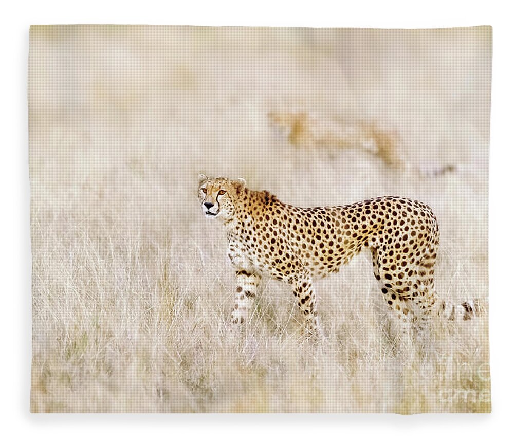 Mara Fleece Blanket featuring the photograph A pair of cheetahs move steathily through the long grass of the by Jane Rix
