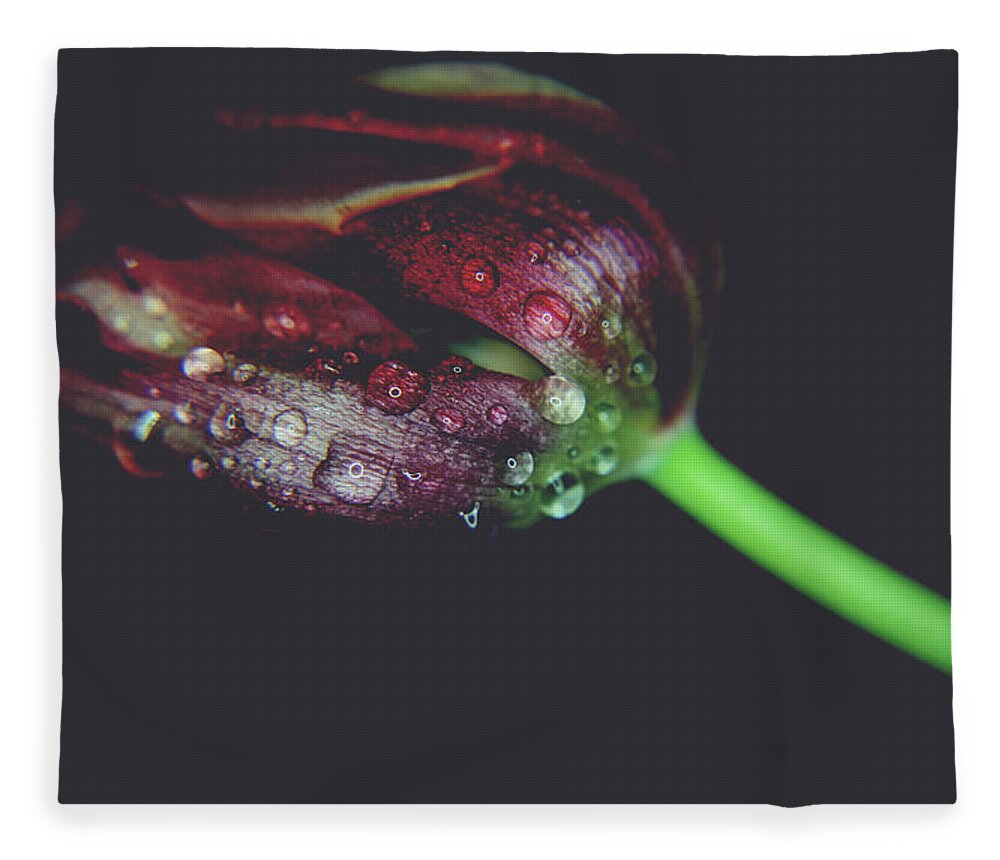 Flowers Fleece Blanket featuring the photograph A Story of Love by Laurie Search